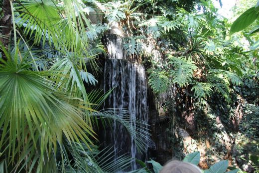 Kleiner Wasserfall in dichter Vegetation, der die Ruhe und Vielfalt natürlicher Lebensräume zeigt.